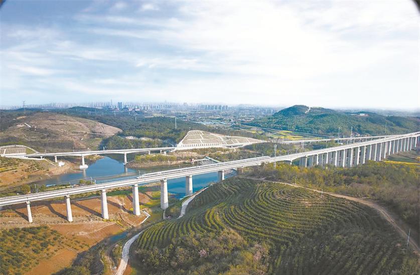 乘着高铁赴茶约 毛尖飘香越千年