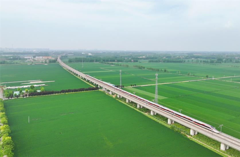 路地联动聚合力 暖心护航假期行